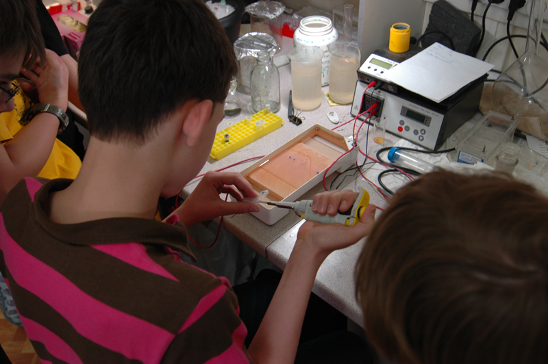 Кружок по молекулярной биологии — Факультет биоинженерии и