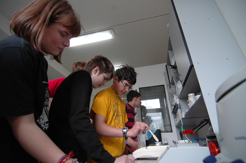 Кружок по молекулярной биологии — Факультет биоинженерии и