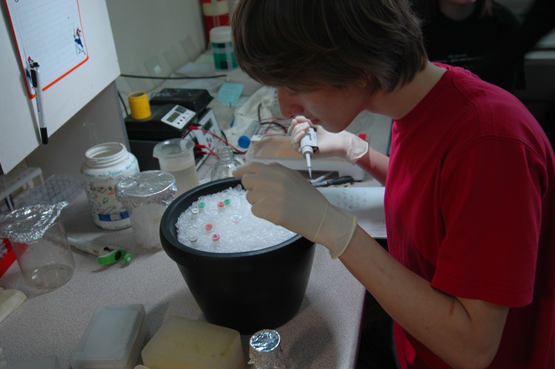 Кружок по молекулярной биологии — Факультет биоинженерии и