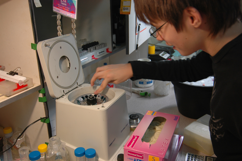 Кружок по молекулярной биологии — Факультет биоинженерии и