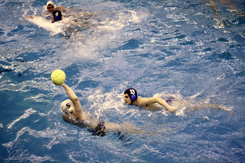 Водное поло — Факультет биоинженерии и биоинформатики МГУ